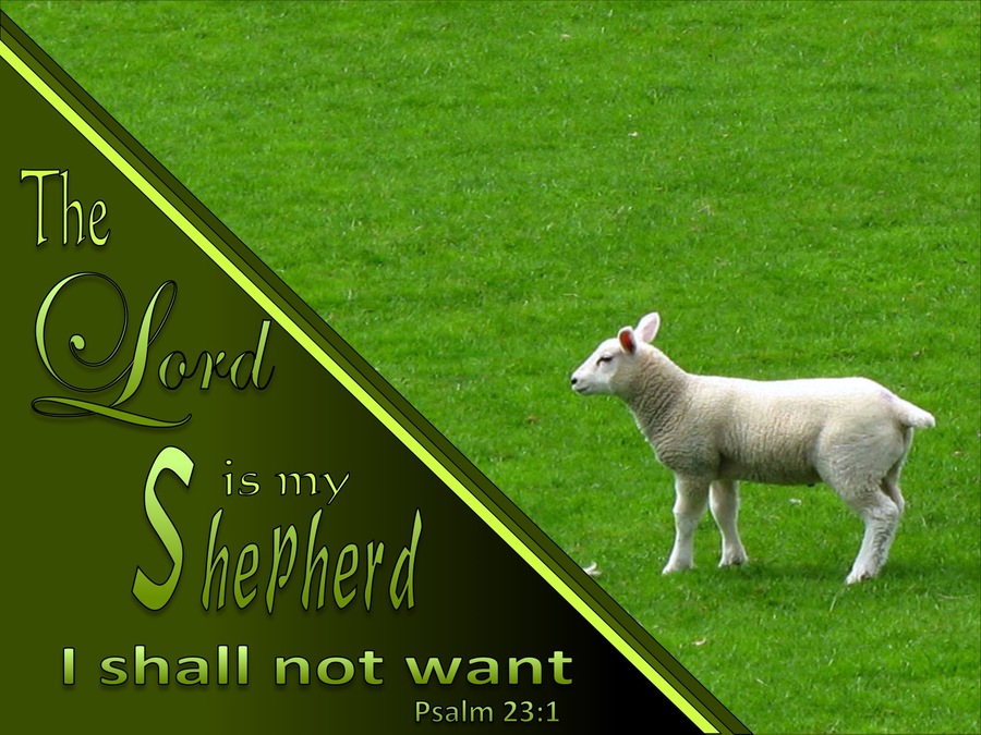 Psalm 23:1 The Lord Is My Shepherd (green)